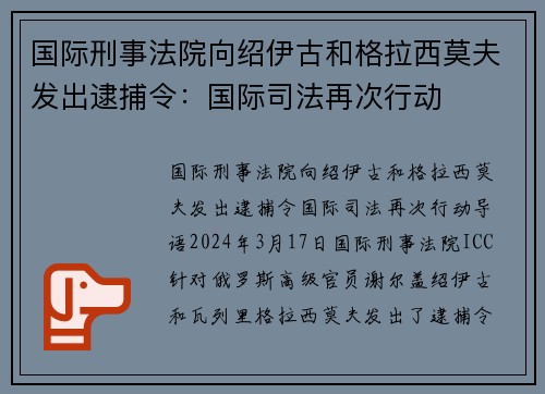 国际刑事法院向绍伊古和格拉西莫夫发出逮捕令：国际司法再次行动