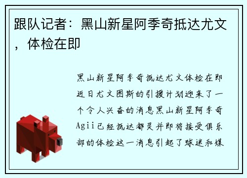 跟队记者：黑山新星阿季奇抵达尤文，体检在即