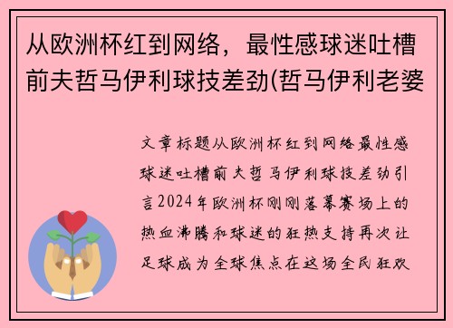 从欧洲杯红到网络，最性感球迷吐槽前夫哲马伊利球技差劲(哲马伊利老婆)