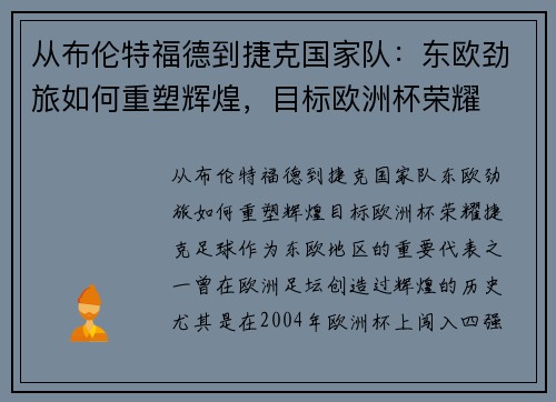 从布伦特福德到捷克国家队：东欧劲旅如何重塑辉煌，目标欧洲杯荣耀